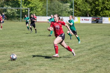 Bild 374 - F SG NieBar - IF Stjernen Flensborg : Ergebnis: 2:0